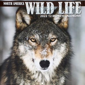 NEW 2022 Wild Life Wall Calendar FREE SHIPPING